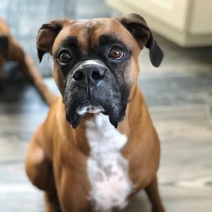 Meet your Posher, Christina